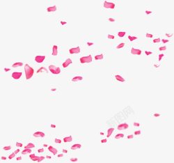 飘落的粉色花瓣叶片素材