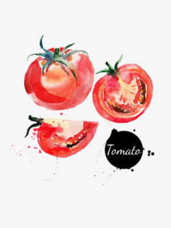 番茄插画素材