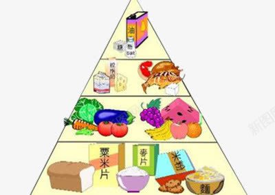 膳食营养金字塔png免抠素材_88icon https://88icon.com 健康 均匀 搭配 食物