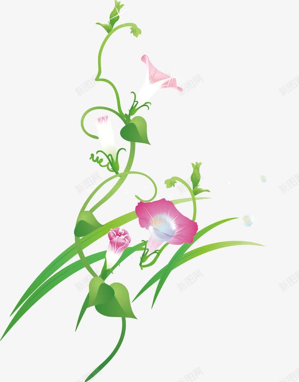 牵牛花png免抠素材_88icon https://88icon.com 卡通手绘 植物 牵牛花