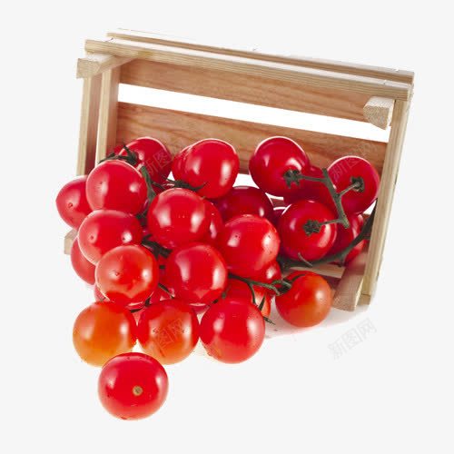 红色小番茄png免抠素材_88icon https://88icon.com 小番茄 番茄 红色 茄子