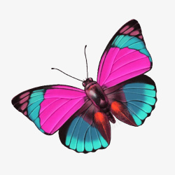 紫色清新蝴蝶装饰图案素材
