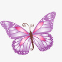 紫色蝴蝶图标png免抠素材_88icon https://88icon.com animal butterfly purple 动物 紫色的 蝴蝶