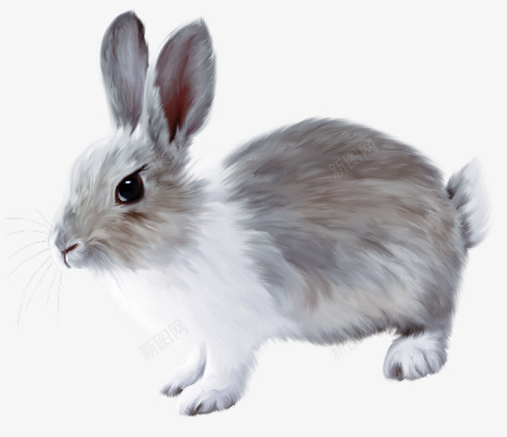 手绘可爱的灰色小兔子png免抠素材_88icon https://88icon.com 卡通小兔子 可爱的小兔子 小灰兔 手绘小兔子 灰色的小兔子