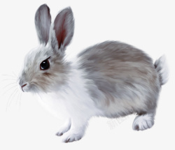 手绘可爱的灰色小兔子素材