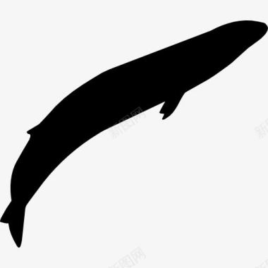 灰色的鲸鱼的形状图标图标