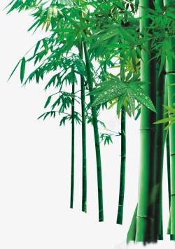绿色的竹叶产品实物素材