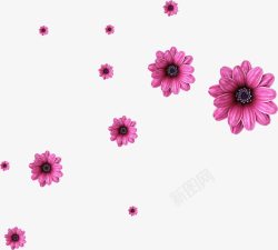 手绘紫色花朵花瓣美景素材