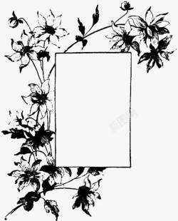黑白植物花朵留白插图素材