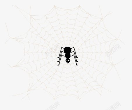 手绘蜘蛛网图标图标