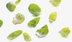 新鲜包菜素材