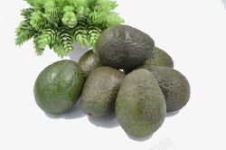 切开的牛油果素材