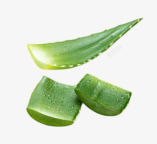 芦荟背景png免抠素材_88icon https://88icon.com 素材 背景