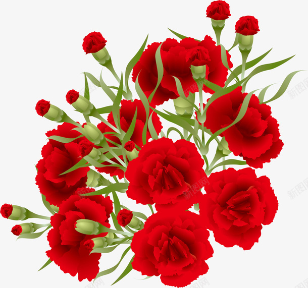 红色手绘的康乃馨png免抠素材_88icon https://88icon.com 康乃馨 手绘花朵 红色花朵 花卉 花朵 花朵装饰 花苞