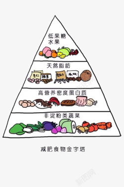 手绘食物金字塔素材