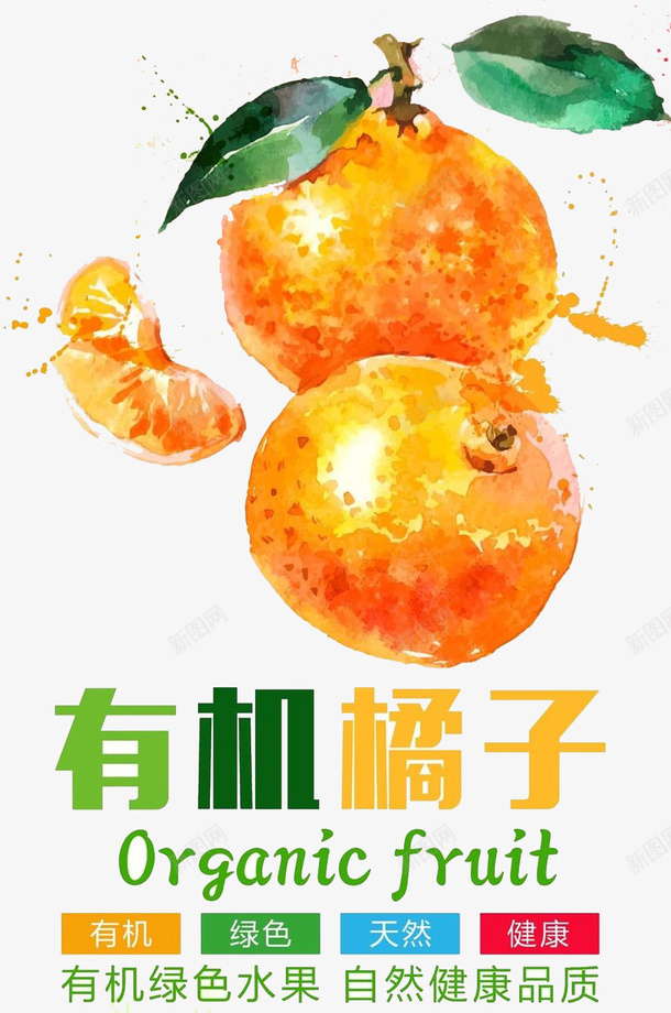 有机橙子psd免抠素材_88icon https://88icon.com 健康 有机 橙子 水果 食物