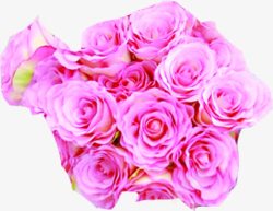 粉色爱情的花束素材
