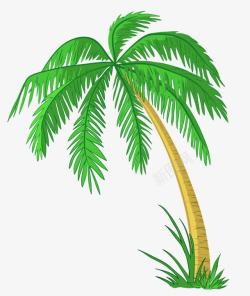 海南椰子树素材
