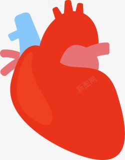 大红色心脏器官手绘图素材