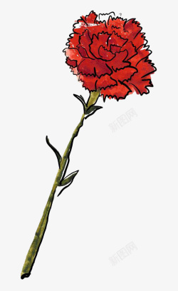 手绘水彩装饰花卉插图一支红色康素材
