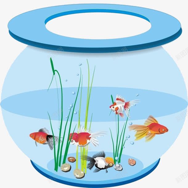 卡通手绘可爱彩色鱼缸和鱼png免抠素材_88icon https://88icon.com 卡通手绘 可爱 手绘 水草 鱼 鱼缸