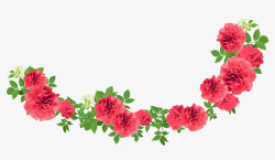 清新红色鲜花花卉植物素材
