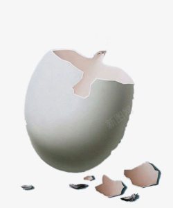 创意插画鸽子与鸡蛋壳素材