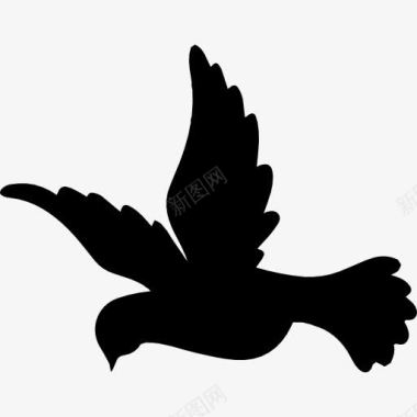放飞的鸽子的鸟形图标图标