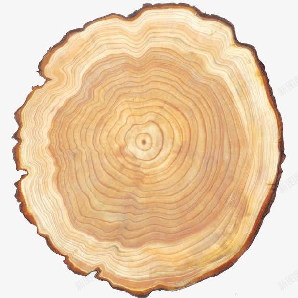 树干纹理png免抠素材_88icon https://88icon.com 复古色 木材 树干 纹理