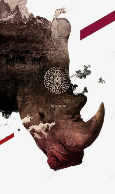 犀牛头像png免抠素材_88icon https://88icon.com 创意设计 头像 犀牛 装饰图案