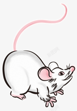 白色卡通手绘老鼠素材