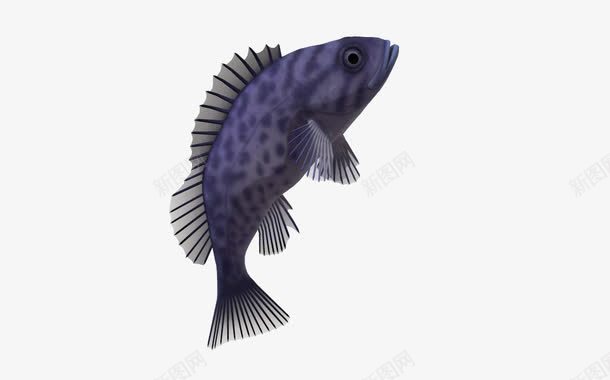 3d卡通动物自然png免抠素材_88icon https://88icon.com 3d 3d动物 3d卡通动物 卡通 蓝色海洋 鱼