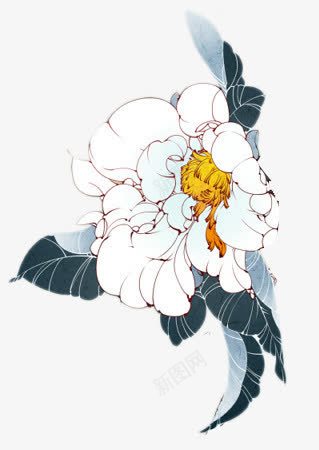 手绘复古白色花朵花叶png免抠素材_88icon https://88icon.com 复古 白色 花叶 花朵