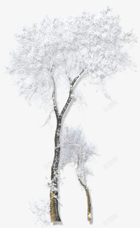 枯树枝雪花装饰png免抠素材_88icon https://88icon.com 枯树 装饰素材 雪花 雪花素材