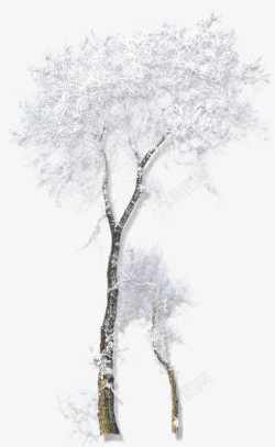 枯树枝雪花装饰素材