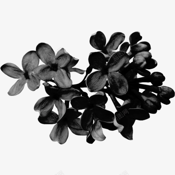 黑色花朵装饰png免抠素材_88icon https://88icon.com 小花 小花免扣PNG 花朵免扣元素 花朵素材 花瓣 黑色