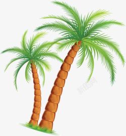棕色螺旋树干椰子树素材