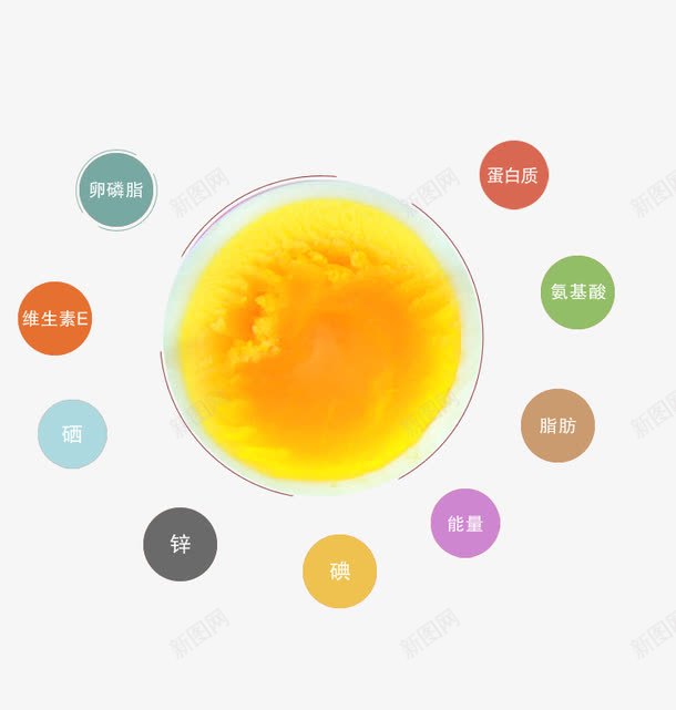 鸡蛋羹png免抠素材_88icon https://88icon.com 脂肪 蛋白质 鸡蛋羹