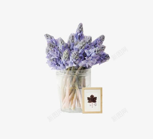紫色的花png免抠素材_88icon https://88icon.com 瓶子 紫色的花 花 花朵