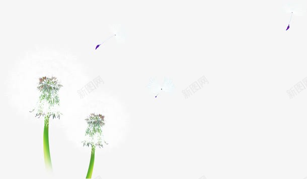 白色美景蒲公英花朵png免抠素材_88icon https://88icon.com 白色 美景 花朵 蒲公英