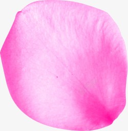 粉色摄影花瓣表面素材
