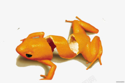 橙皮青蛙素材