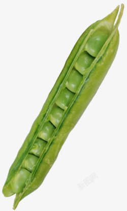 新鲜豌豆素材