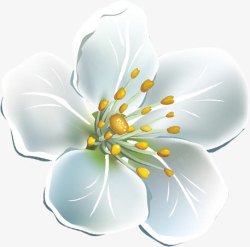 手绘白色清新花朵唯美素材