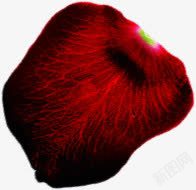 脉络清晰的红色花瓣七夕情人节素材