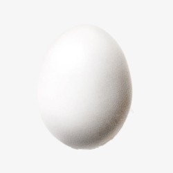 白色鸡蛋素材