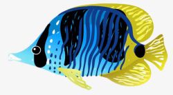 手绘蓝色条纹鱼海洋生物素材