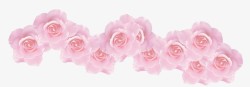 粉色梦幻玫瑰花朵装饰甜美素材