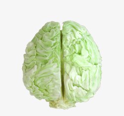 创意蔬菜水果平面大脑艺术素材