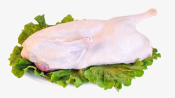 禽类新鲜的鸭肉素材